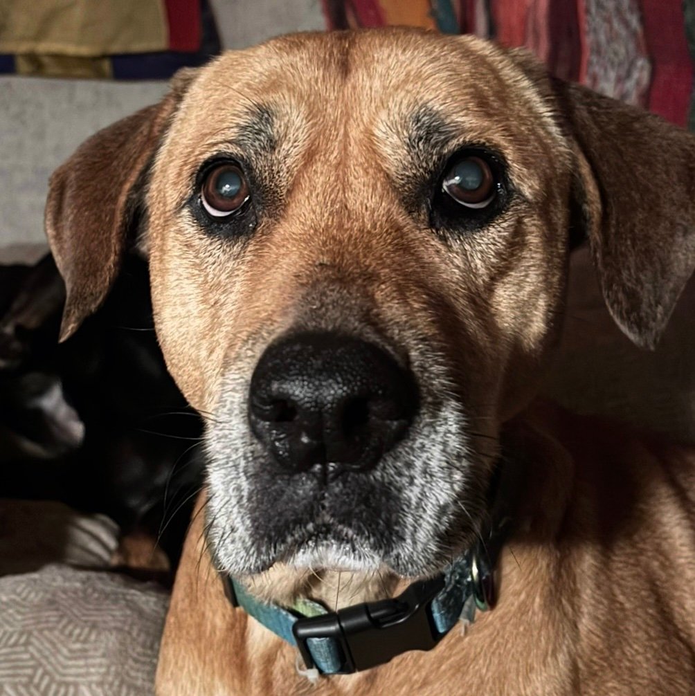 LouisABlanqui's profile picture. 