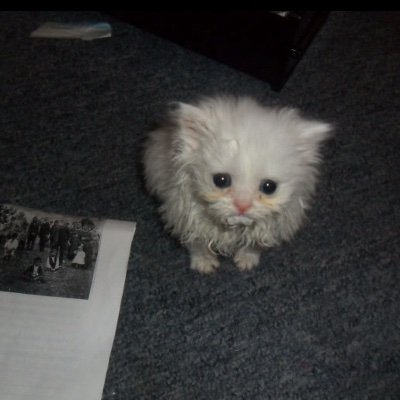 Khaalf0's profile picture. 🕸️18+ only🕸️22 M Goth🕸️New Not new to nsfw🕸️DMs Open🕸️