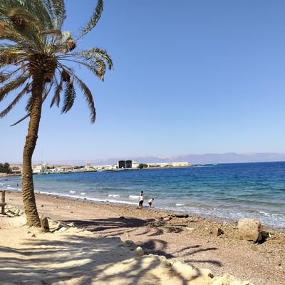 ThokalaMadhusu3's profile picture. ఓపిక ఉన్నంత వరకు నేను మీ సైనికుడిగా ఉంటా కేసీఆర్ గారు 🙏