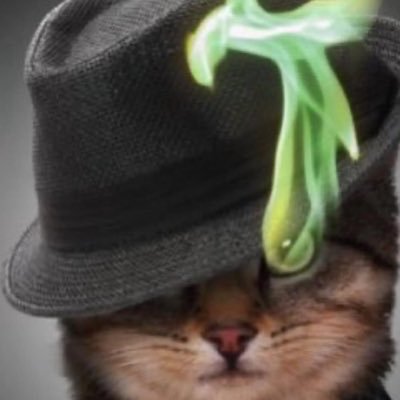 thelilpeanutboy's profile picture. 