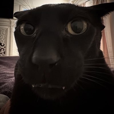 slaveasslicking's profile picture. 