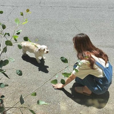 ofcyuuistore's profile picture. ini esisi sepersekian kalinya, karena yang lama telah disapu🥺