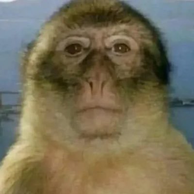 peepoplayer's profile picture. 21 |🇲🇾x🇨🇳 マレーシア出身、今日本に留学2年目| apex気楽にやってます|ハイドしたらニヤニヤする、されたらブチキル