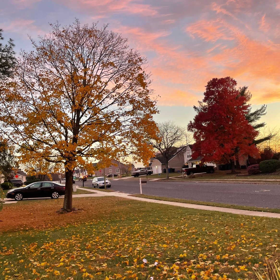 michaelmoore017's profile picture. 