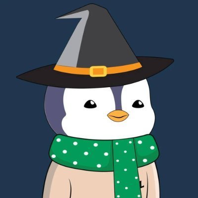 sabirraza33's profile picture. Living the Web3 life – questing, earning, building ||@xeetdotai believer||