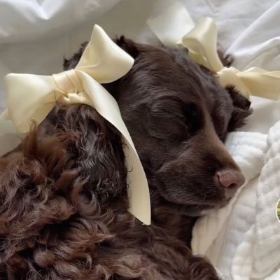 rhamiland's profile picture. https://t.co/aQt3KvbWEe