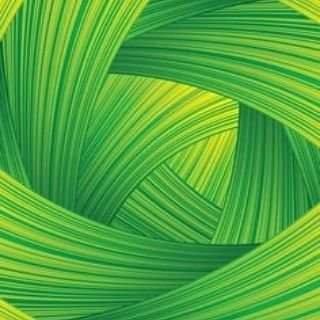 mohbbas's profile picture. 