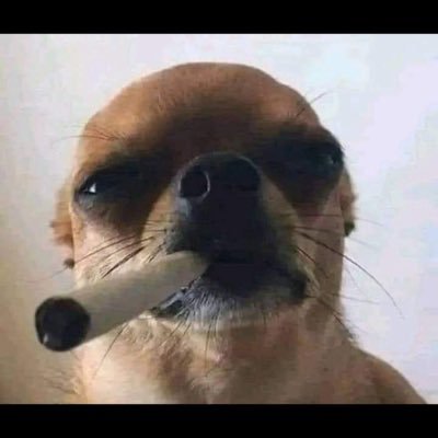 robs0x's profile picture. 