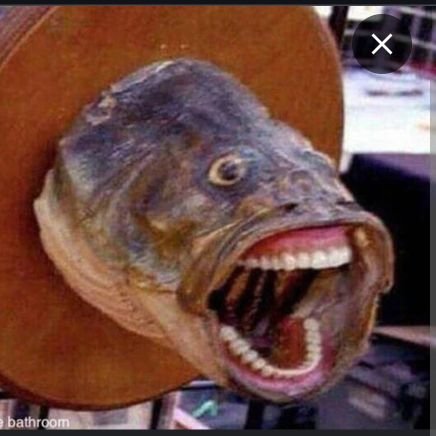 Geisel11240's profile picture. Je n'ai absolument aucune obligation de vous plaire, et encore moins d'accepter des vérités indiscutables en croyant ce que la majorité considère comme correct.