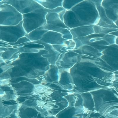 wasserbaro's profile picture. 