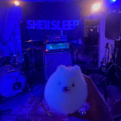 02trdsnj's profile picture. ライブハウス初心者です。いじめないでください。