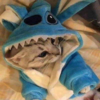 4lphaxdo's profile picture. 20