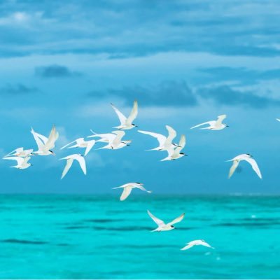 outsxvdfeels's profile picture. 