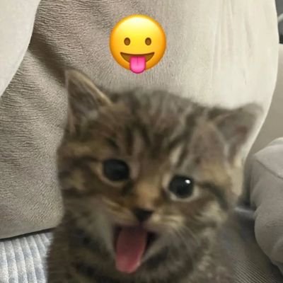 wujjuz's profile picture. 