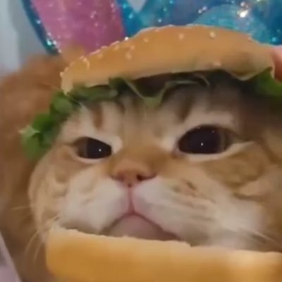 cnslGoat_balou's profile picture. 