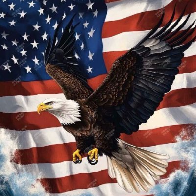 Evelyn3175778's profile picture. Devotee ✝️ Patriot 🇺🇸 America First 💯🔥 America will be great again. 🚫 Porn. 🚫 Robots.