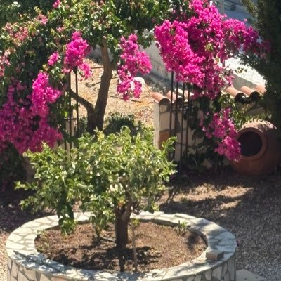 GraemeAgb's profile picture. X for great vids - Desi, Arab and all - WS and fun 🔞