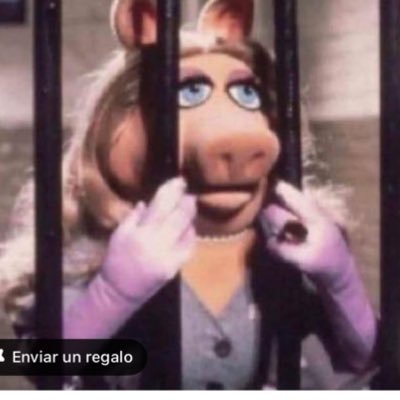 apudmorales's profile picture. I have an angel on my shoulder
but a devil in my head...