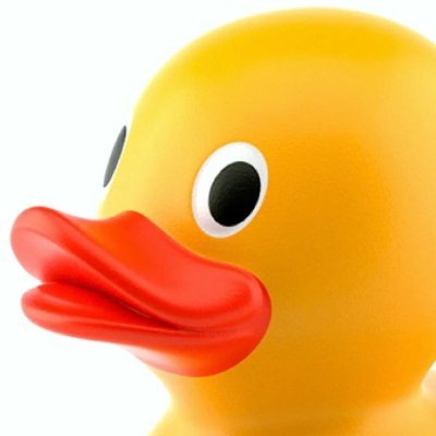 ducks_are_epic's profile picture. me the yes.