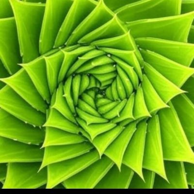 GardenBlock1618's profile picture. Protect Capital - Compound Equity.