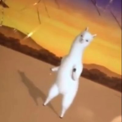 hhfkusb's profile picture. 제발 벌써 3개째야 정신차려 트위터! 이거 아니야~~^_^