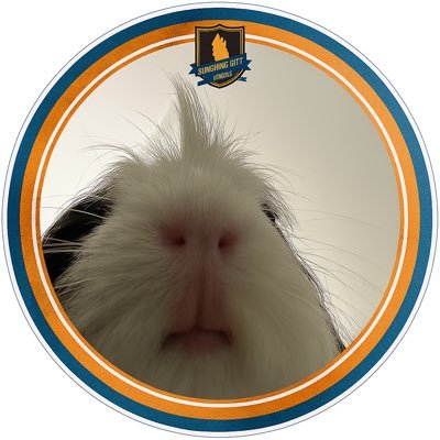 bakkinextdoor's profile picture. 그럼 뭐 푸바오로 볼까요