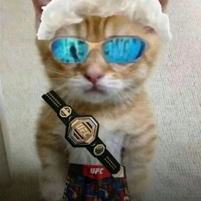 bambiMMA's profile picture. #AspinallArmy🐐