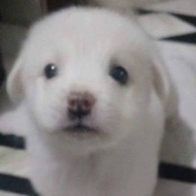 jamj1_again's profile picture. 