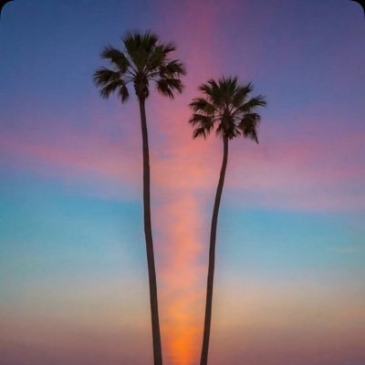 ansanady17's profile picture. ا