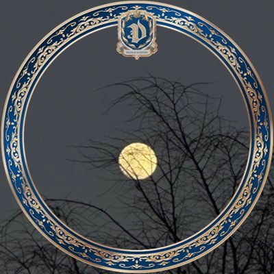 spade22's profile picture. 