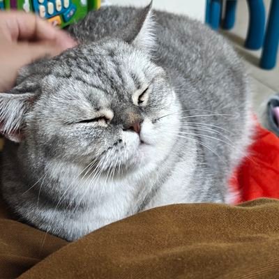 weili_zhao's profile picture. all in crypto.