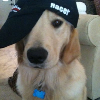 fridaymoondrop's profile picture. @gemini_ti