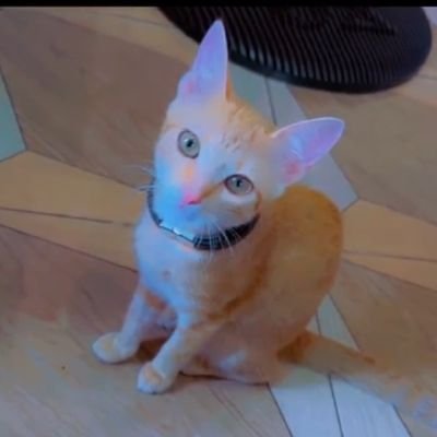 KingLorkulup's profile picture. 