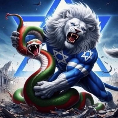 IsraelIDFend's profile picture. Proud Jew ✡️ … Fierce Zionist 🇮🇱 #AmYisraelChai 🤟🏼 Amos 1:7 🔥 #GodBlessAmerica 🇺🇸 #MAGA Hashem’s Soldier 💪🏼✡️