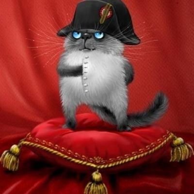 aleksejtank751's profile picture. Я нормальный и взаимный.