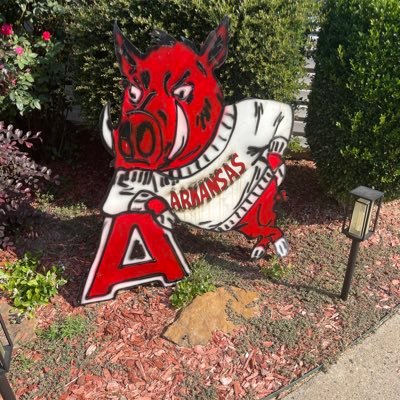 woopigsooiee55's profile picture. 