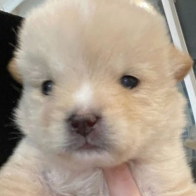 ooo5bb's profile picture. 