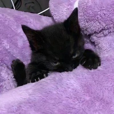 jaxpvh's profile picture. 