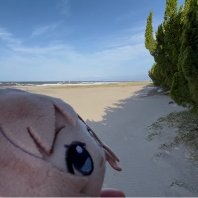 sayamashi82's profile picture. 鉄道/アトリエ(ユミア、ライザとか)/ちびぐるみ/旅行(秋田行きたい)/など仲良くしていただけたら|´-`)ﾁﾗｯ