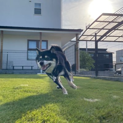 oratuy9221's profile picture. 