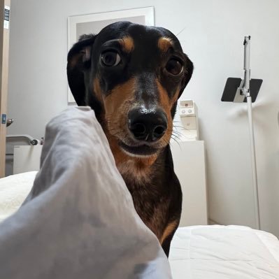 fuckableduwk's profile picture. 어흑녕하세요