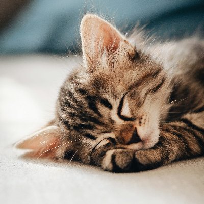 Aditya619827144's profile picture. 