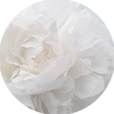 ____mi23's profile picture. 専業主婦してます