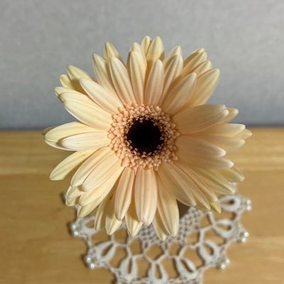 Lily10Henri05's profile picture. リプ垢 大好きなお花・Music・Musical・お酒・珈琲・スイーツ・旅等の記録用🌸日常用雑多垢です。観劇レポは主に大好きなご贔屓と作品の忘備録だけで基本しません💦あくまでも自分用メモです。料理をするのがストレス解消で大好き♪副菜作りにハマっています🥗おつまみ系多い ※鍵垢さんは相互フォローでお願い致します。