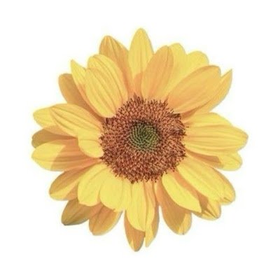 Sunny_day3333's profile picture. Like games, cartoon & arts🎨