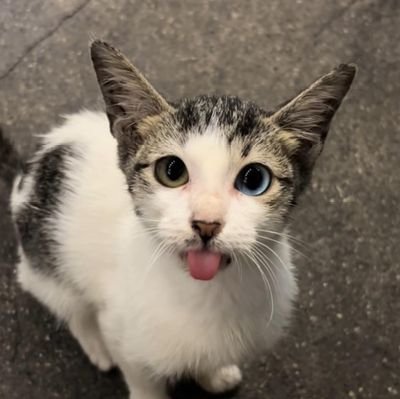 hzlnthc_'s profile picture. 🧚🏼🦩🌷🩷🌸🦄🦑