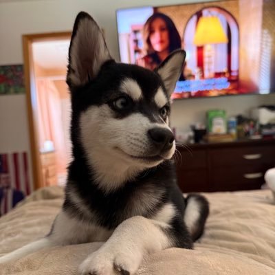 CHDAngelMom's profile picture. Proud #MAGA Patriot 🇺🇸 #AngelMom👣🪿🪽👼#CHDAwareness 🫀 #HeartMom ❤️‍🩹 #WeAreCharlieKirk 🕊️ #BackTheBlue #OPNation 🚫 NO SCAMMING 🚫 SPAMMING 🚫 NO DMs