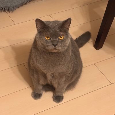 F3P3Nz0xlzbRNp7's profile picture. 