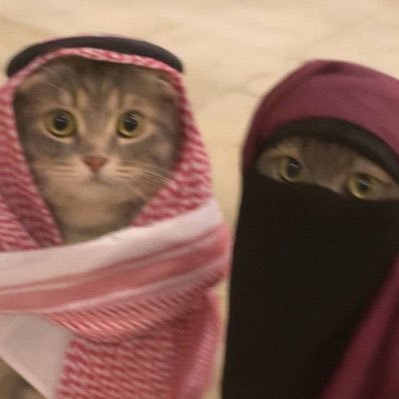 wen_tge0's profile picture. wen ?