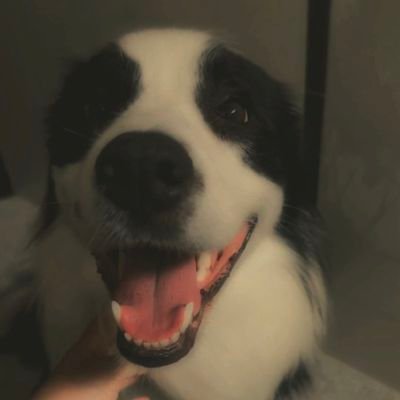 edstdh194_'s profile picture. Ciiiee,,,mau kepo yak👻